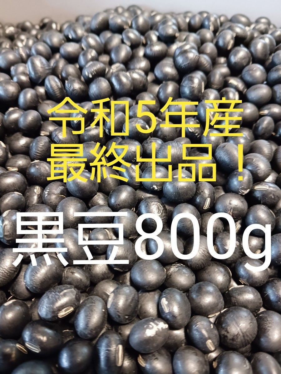 令和5年産黒豆800g最終出品！茨城県☆お手頃☆国産　乾燥豆