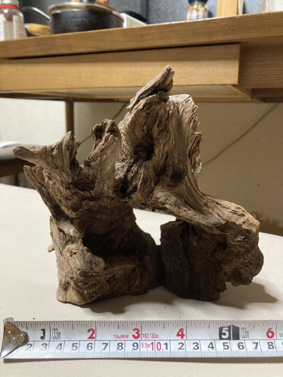  driftwood aquarium 