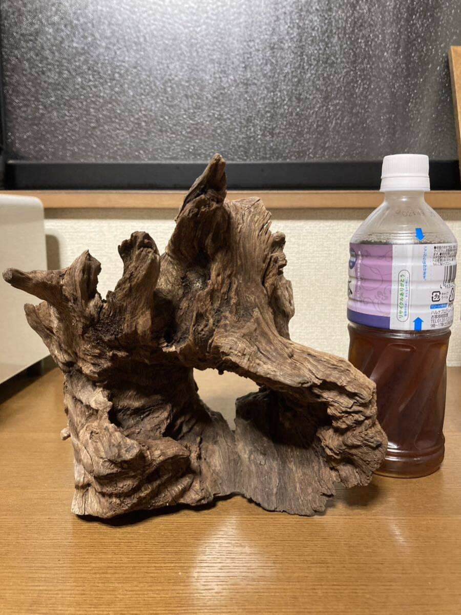  driftwood aquarium 