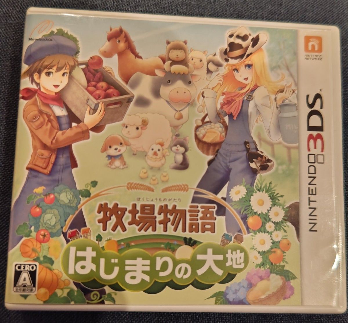 3DS 牧場物語 はじまりの大地