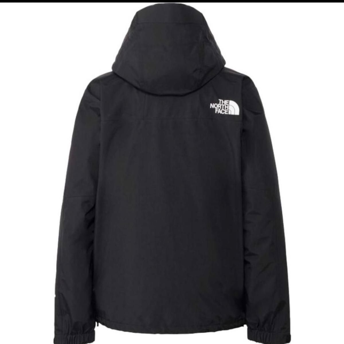 THE　NORTH　FACE ノースフェイス マウンテンレインテックスジャケット メンズ NP12333