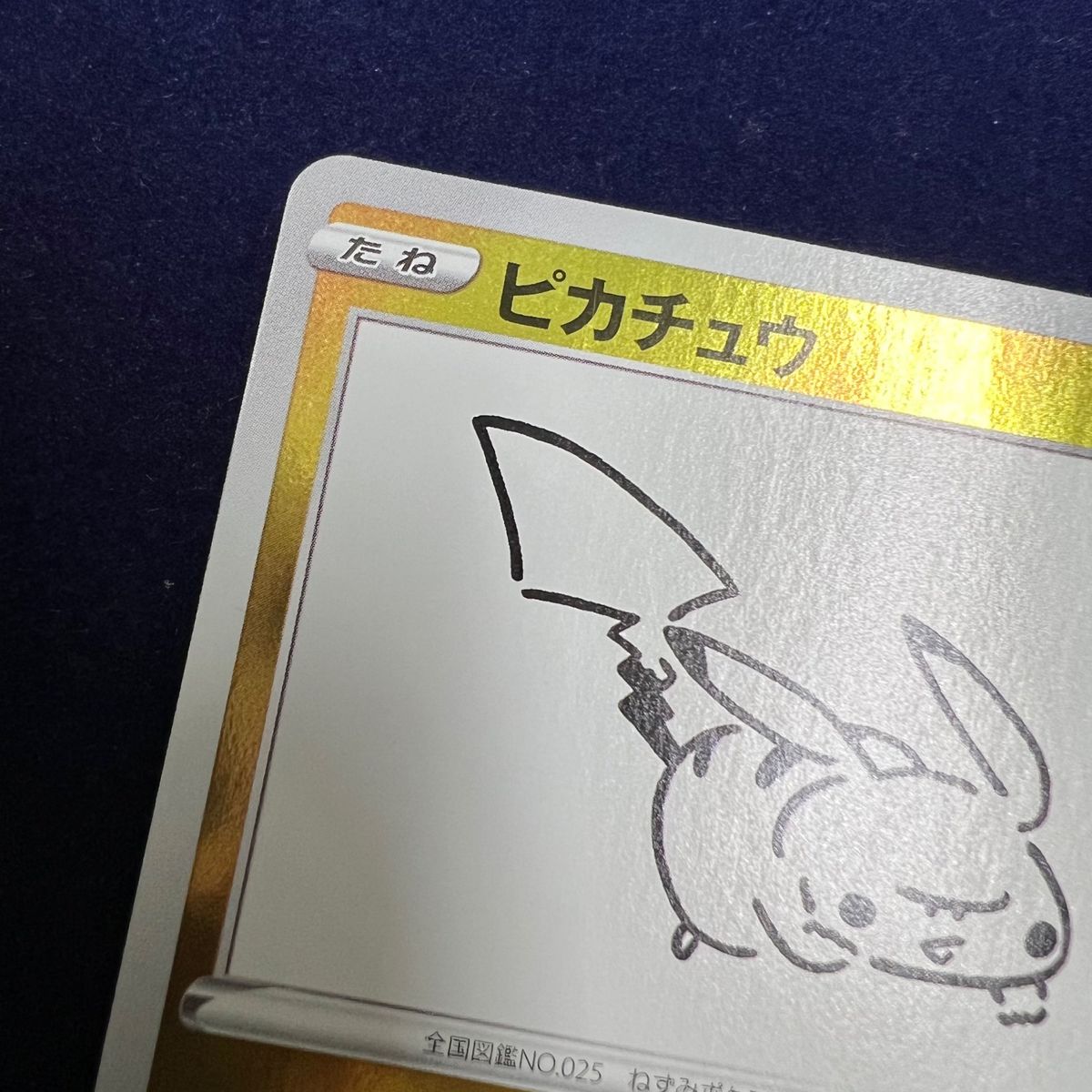 ポケモンカード ピカチュウ YU NAGABA×ポケモンカードゲーム ポケモンカード ピカチュウ YU NAGABA×ポケモンカードゲーム
