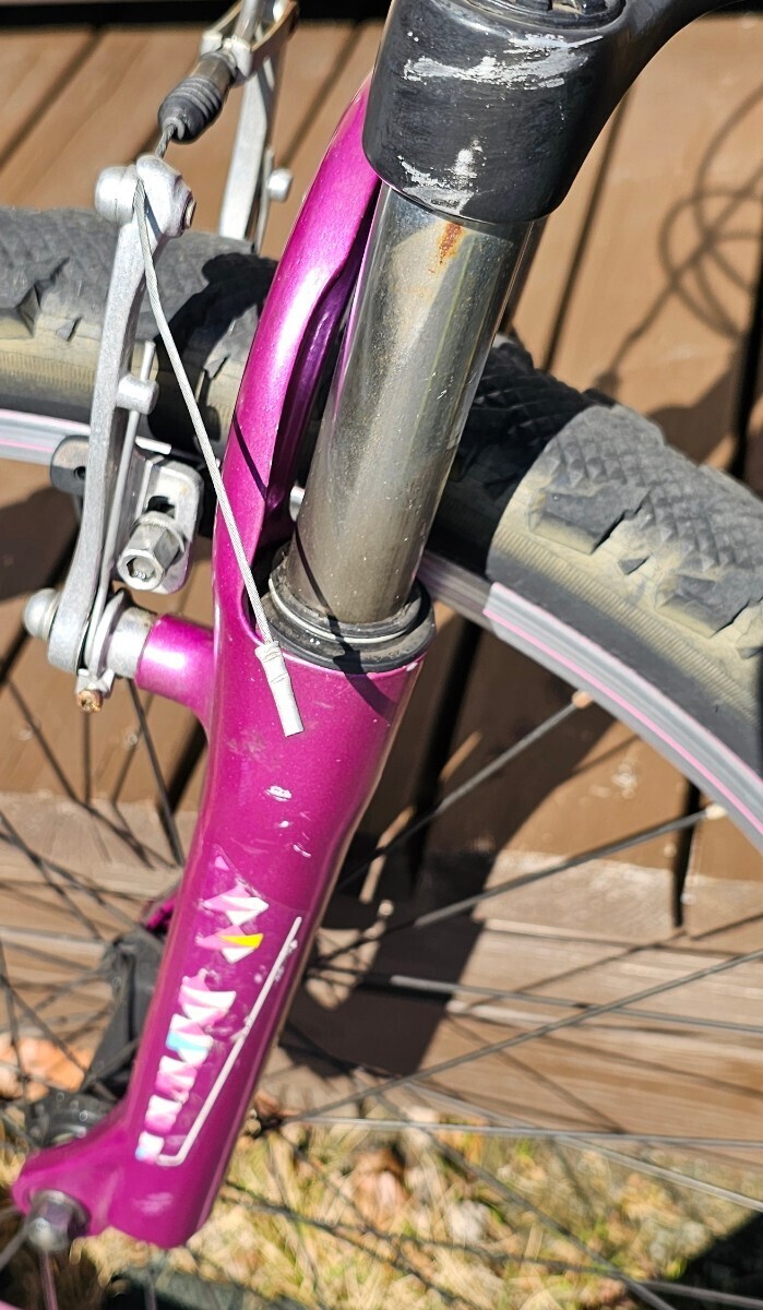 キッズバイク 子供用自転車　GIANT Liv　24インチ　中古品_傷、錆びなど、汚れなどあります。