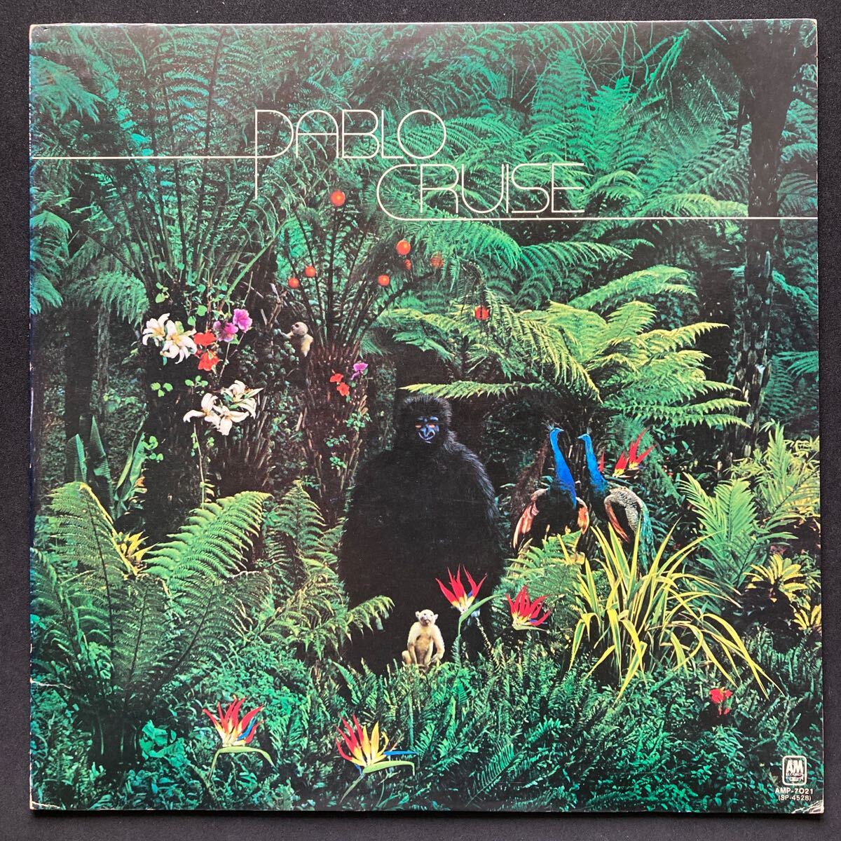 LP PABLO CRUISE / PABLO CRUISE_画像1