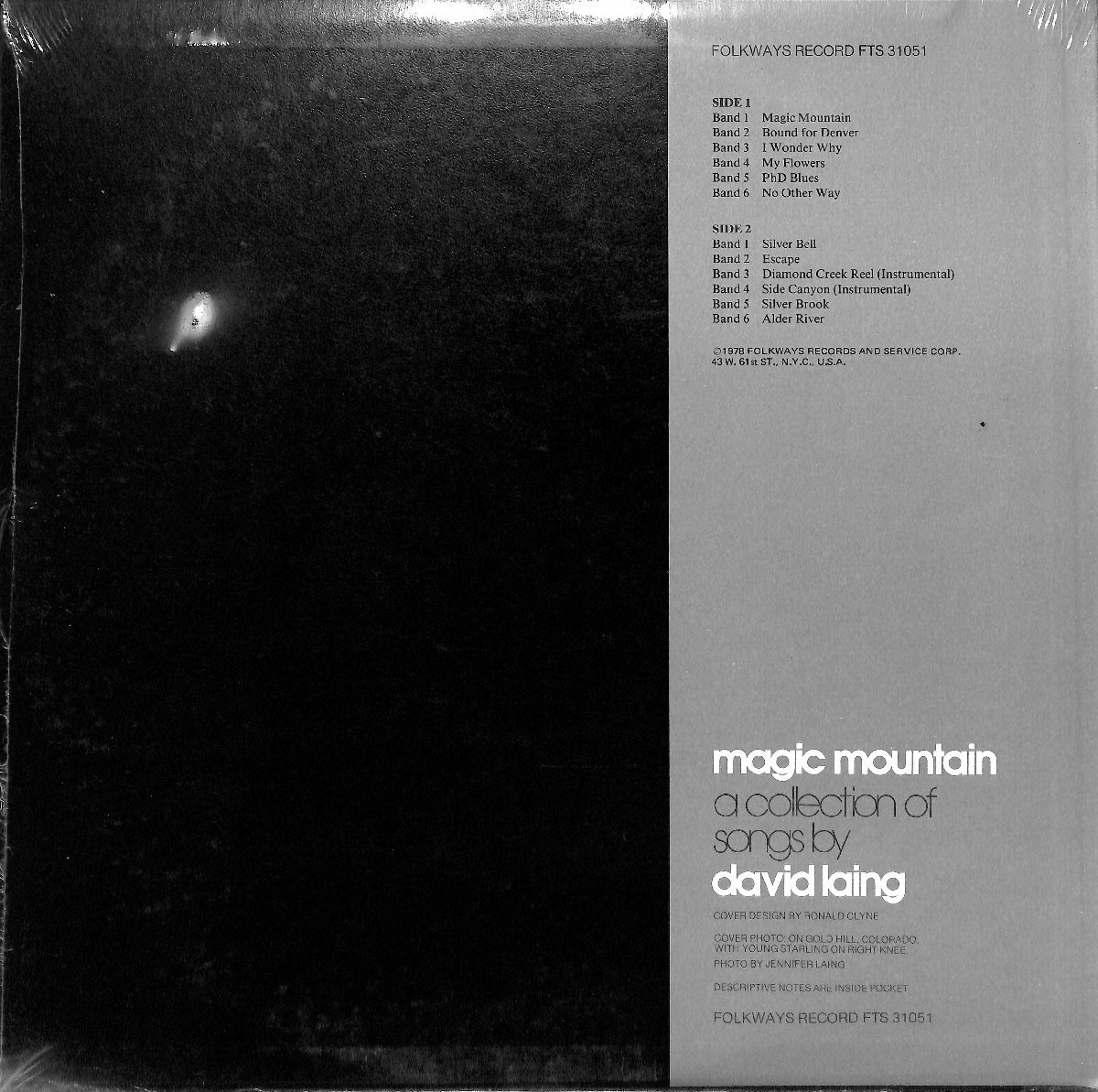 249975 DAVID LAING / Magic Mountain(LP)