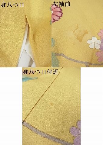 平和屋-こころ店■豪華振袖　駒刺繍　葡萄花唐草笹文　金彩　正絹　逸品　AAAC0529Acs_画像9