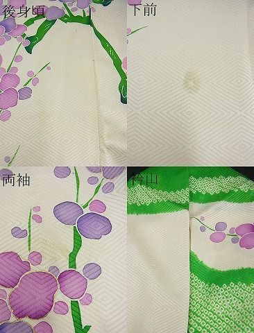 平和屋野田店■豪華振袖　絞り　駒刺繍　牡丹枝花文　金彩　逸品　n-fw6071_画像7