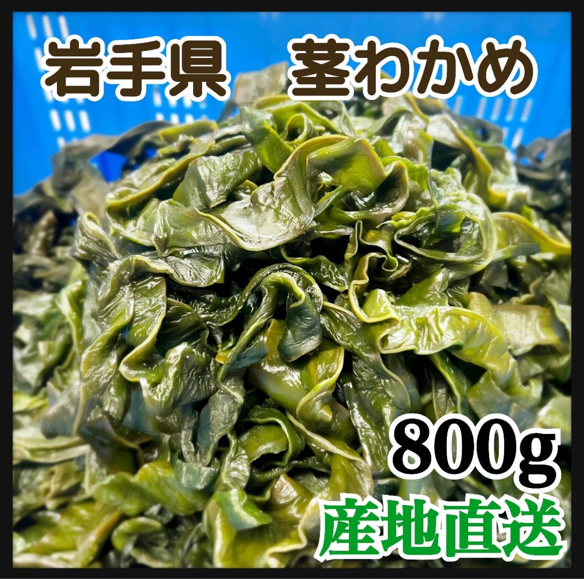 【漁師直送】岩手県産　塩蔵茎わかめ　800g   産地直送