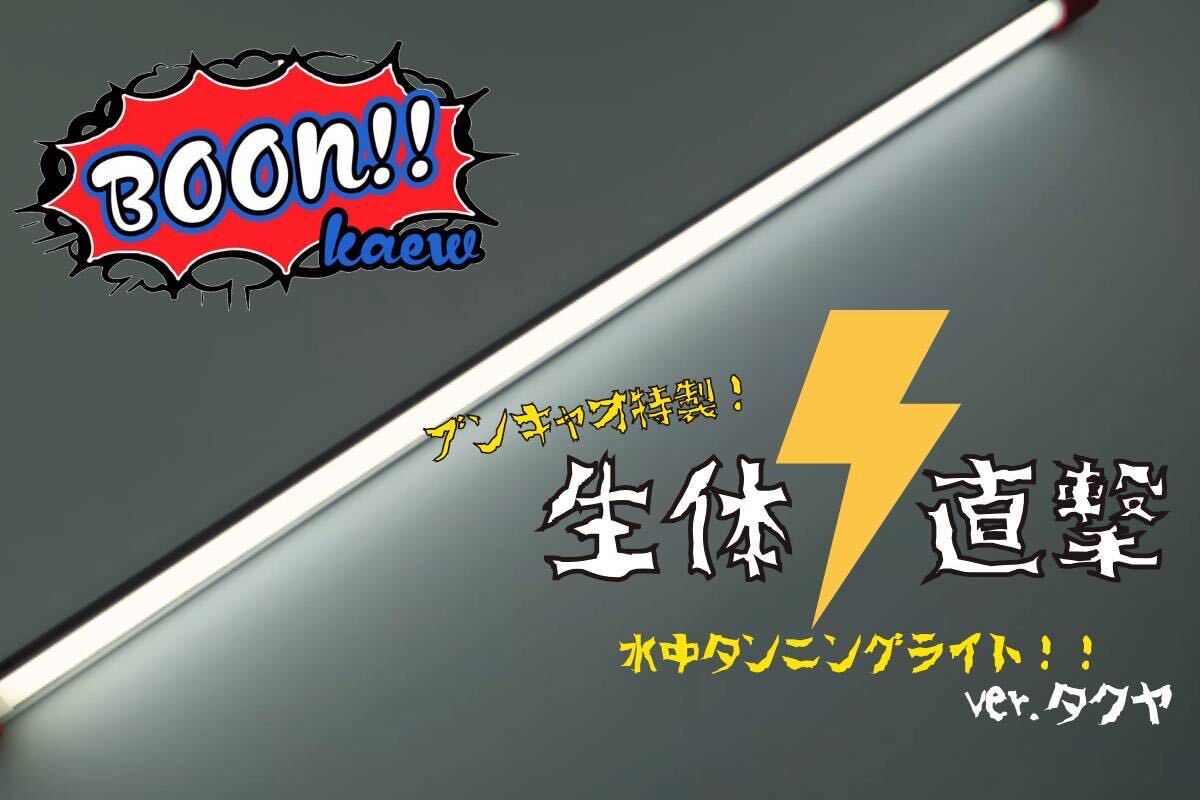《142cm 6700k》ブンキャオ タンニングライト テンニングライト アロワナ 金龍 紅龍