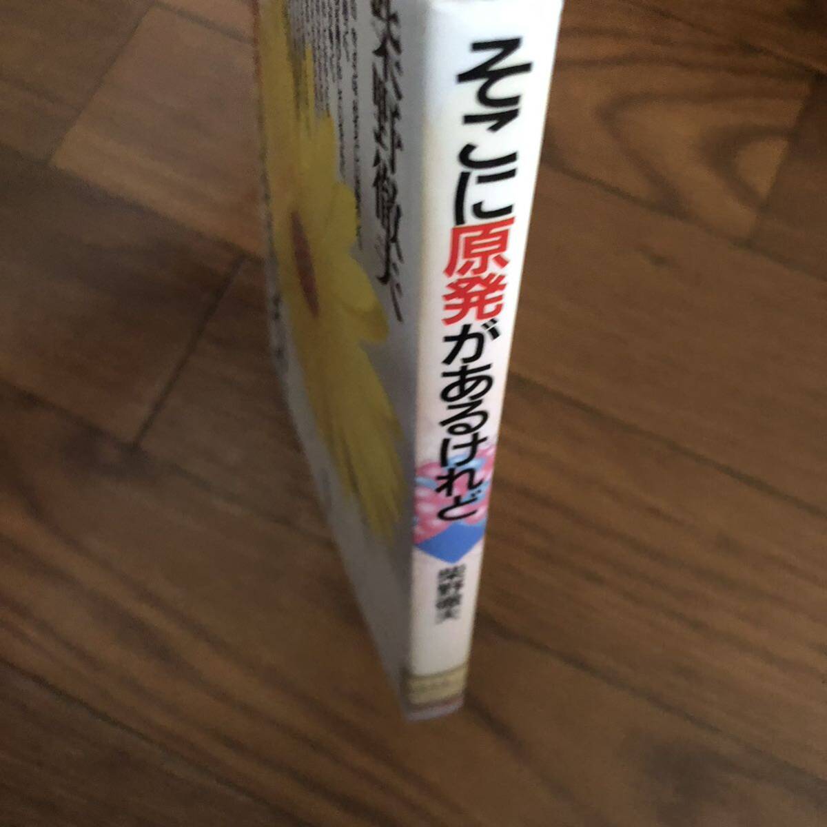 そこに原発があるけれど 柴野徹夫【著】あけび書房　リサイクル本　除籍本_画像3