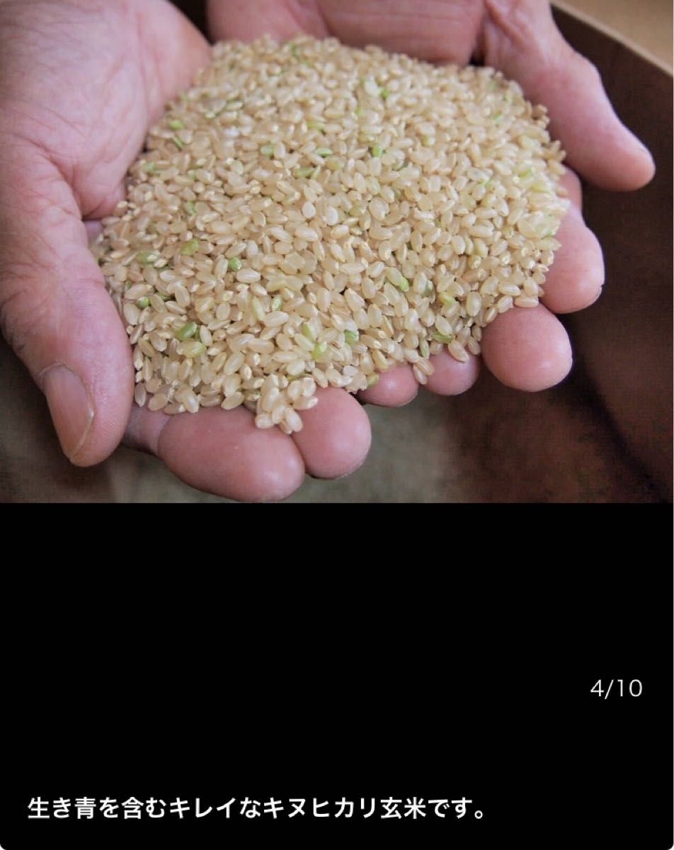 安全と美味しさの根拠があるお米 タガメが棲む水田 兵庫 R5年 キヌヒカリ 新米 玄米 20kg 1等米 発芽玄米に減農薬有機肥料
