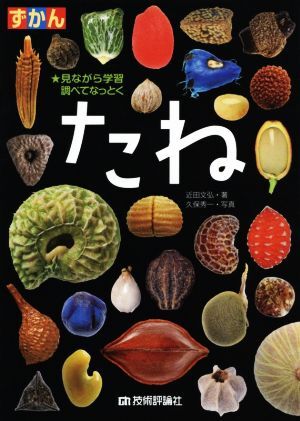 ずかん　たね 見ながら学習調べてなっとく／近田文弘(編者),久保秀一_画像1