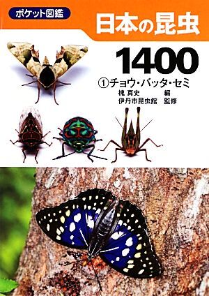  pocket illustrated reference book japanese insect 1400(1)chou*bata* semi |. genuine history [ compilation ], Itami city insect pavilion [..]