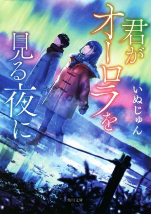 君がオーロラを見る夜に 角川文庫／いぬじゅん(著者)_画像1