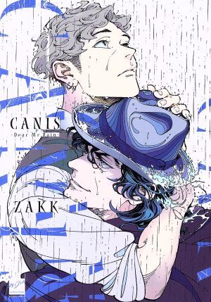 ＣＡＮＩＳ　―Ｄｅａｒ　Ｍｒ．Ｒａｉｎ― バンブーＣ麗人セレクション／ＺＡＫＫ(著者)_画像1