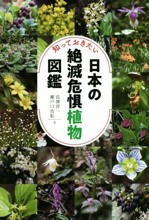 知っておきたい日本の絶滅危惧植物図鑑／長澤淳一(著者),瀬戸口浩彰(著者)_画像1