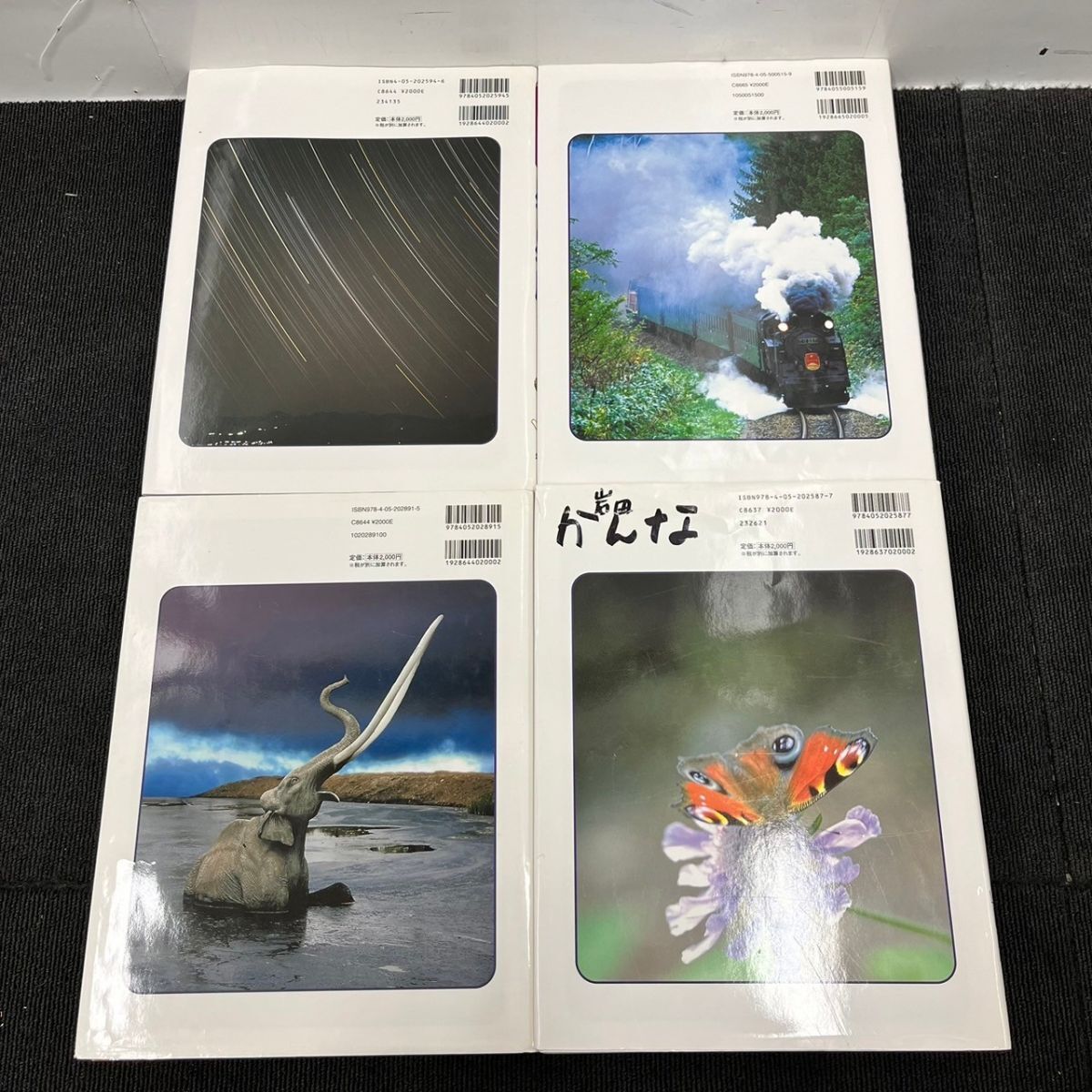 W212-C4-1478 new wide Gakken. illustrated reference book 13 pcs. summarize animal dangerous living thing bird plant star * star seat railroad * boat large former times animal insect flower water. living thing fish cosmos ③