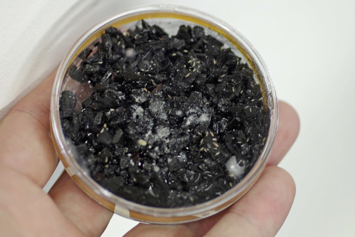 清潔クリーン　大型トビムシ（アヤトビムシの一種）　（約50匹+）×3個　活餌　 イモリ　サンショウウオ　パルダリウム　_シャーレでの発送になります。
