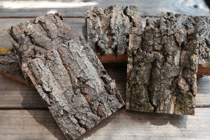 10個 特殊コルク 8×10ｃｍ（厚約10-15ｍｍ）洋蘭 原種 チランジア エアープランツ 熱帯植物 ラン コルク 樹皮 の画像1