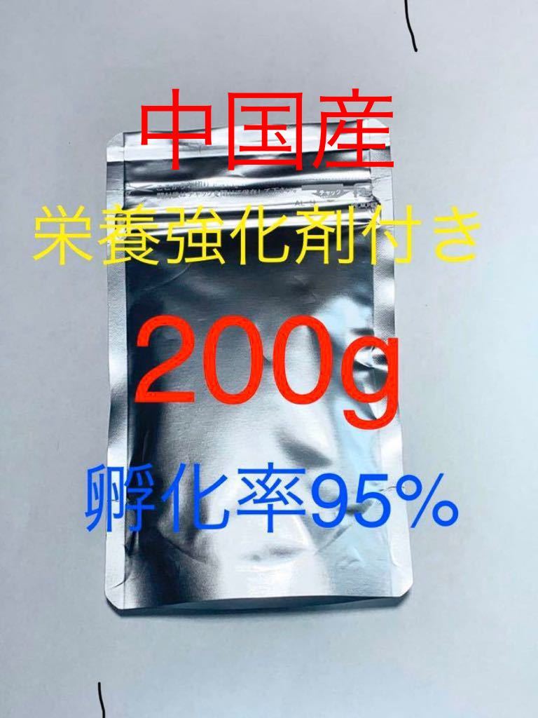 【コスパ抜群】送料無料 おまけ付き 中国産 高品質ブラインシュリンプ 200g 栄養強化剤サンプル付きの画像1
