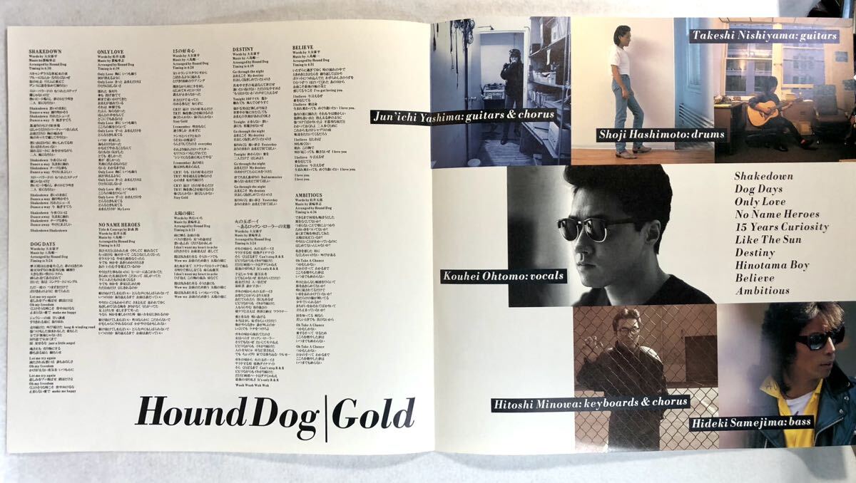 m327 見本盤 LPレコード【GOLD /HOUND DOG】ハウンド・ドッグ_画像5