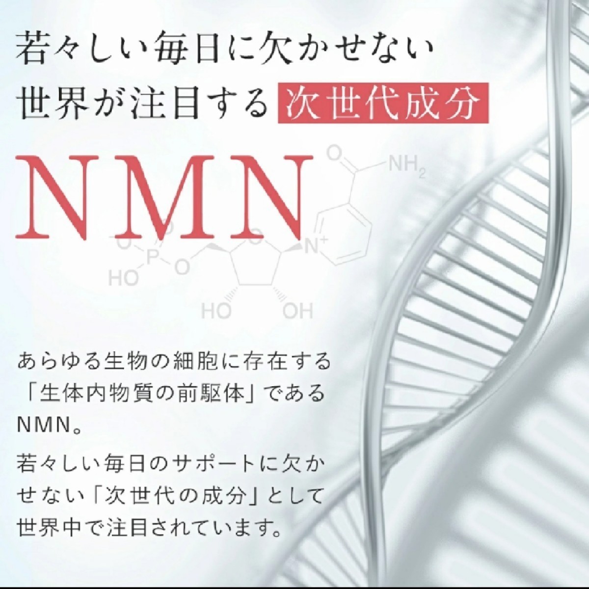 NMN サプリ 日本製 純度100％ 4500mg サプリメント カプセル SIMPLE+ 原料国産 高品質 エイジングケア スキンケア 30日分の画像7
