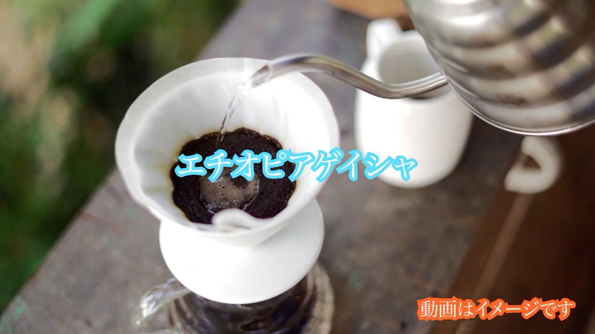 コーヒー豆 エチオピア ゲイシャ 300g
