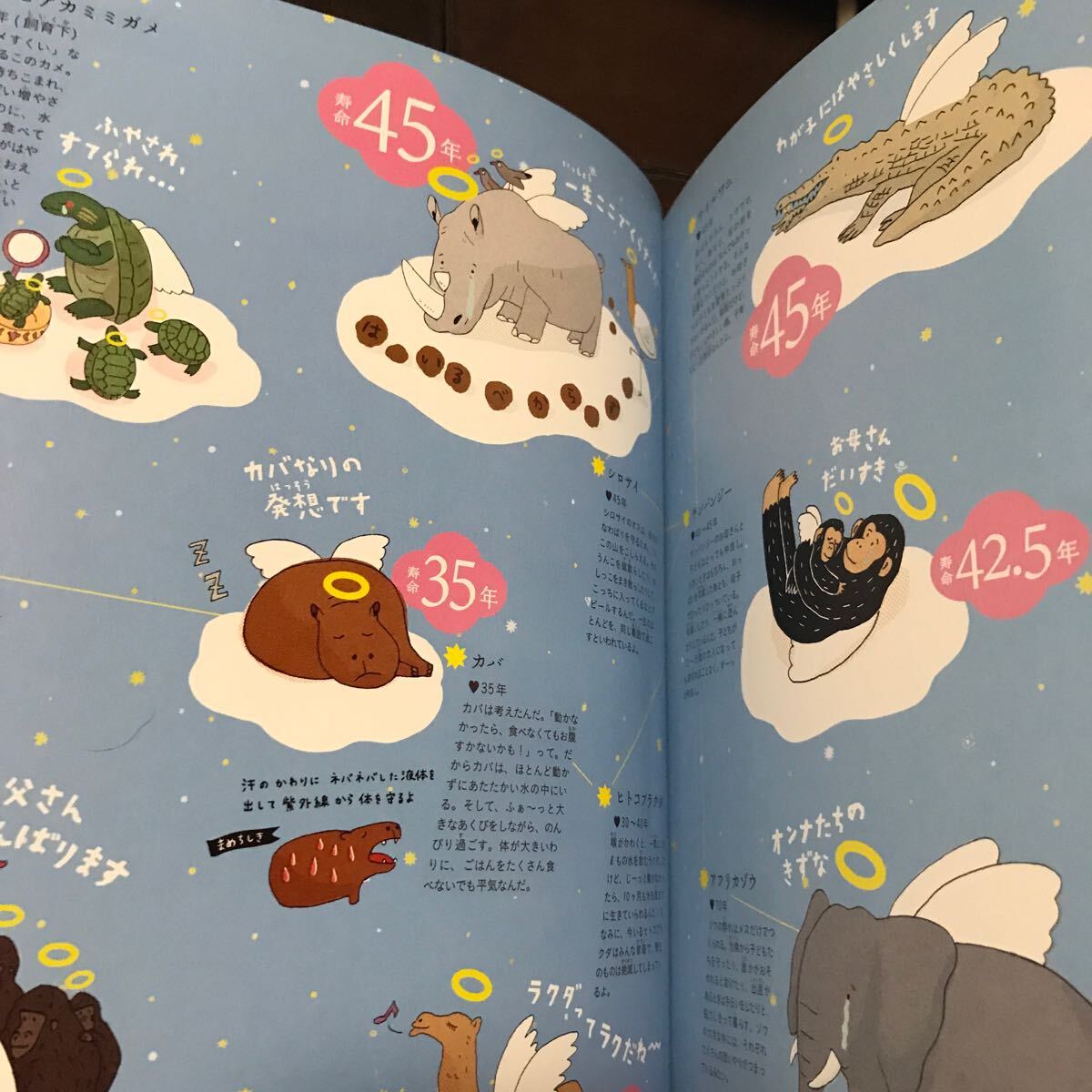 寿命図鑑♪生き物から宇宙まで万物の寿命をあつめた図鑑♪税込2970円♪レターパック370_画像5