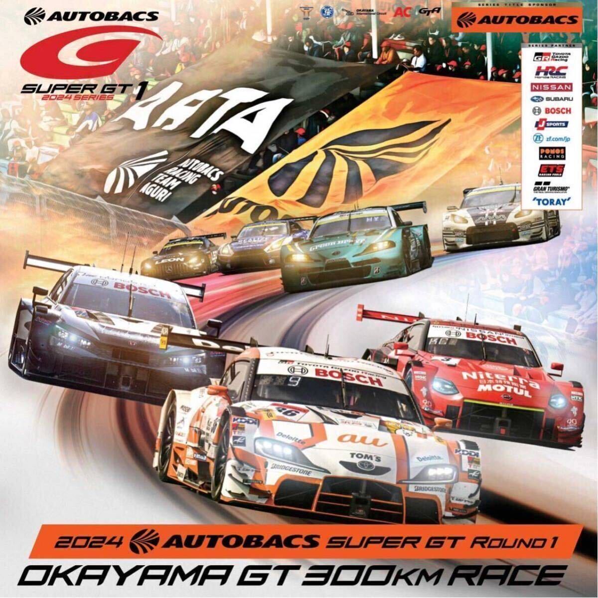 スーパーGT SUPER GT 開幕戦 岡山 1人券・駐車券付日曜観戦券の画像1