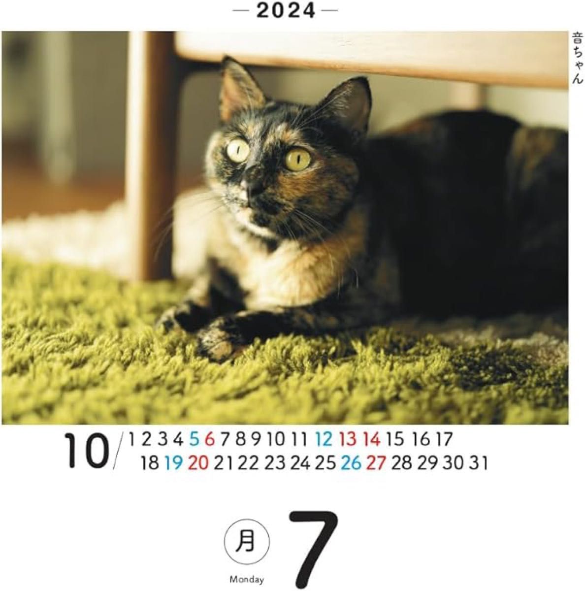118.日めくりニャンコ　2024 卓上カレンダー　猫　動物カレンダー