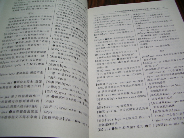 済南方言詞典　現代漢語方言詞典 分巻_画像3