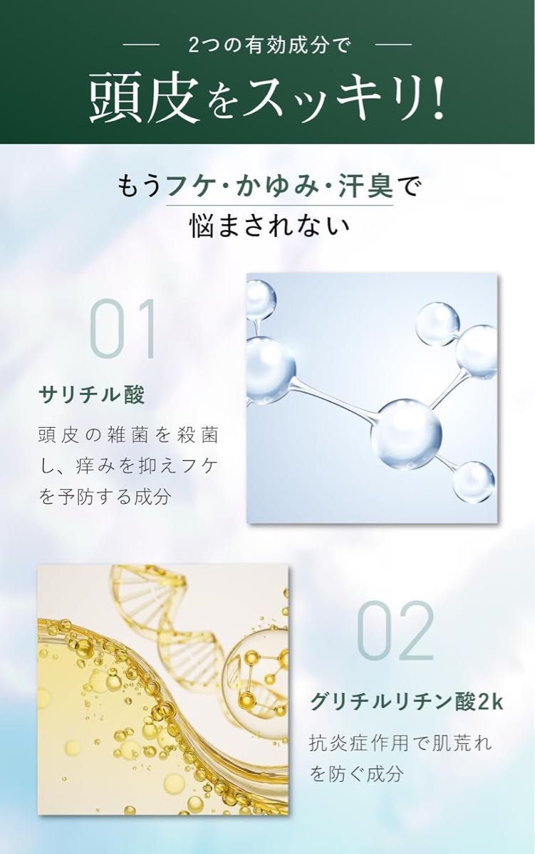 ダンドラフエイドプラス フケ用シャンプー フケ かゆみ 脂漏性 乾燥肌 敏感肌 頭皮ケア 250ml 1ヶ月分 日本製