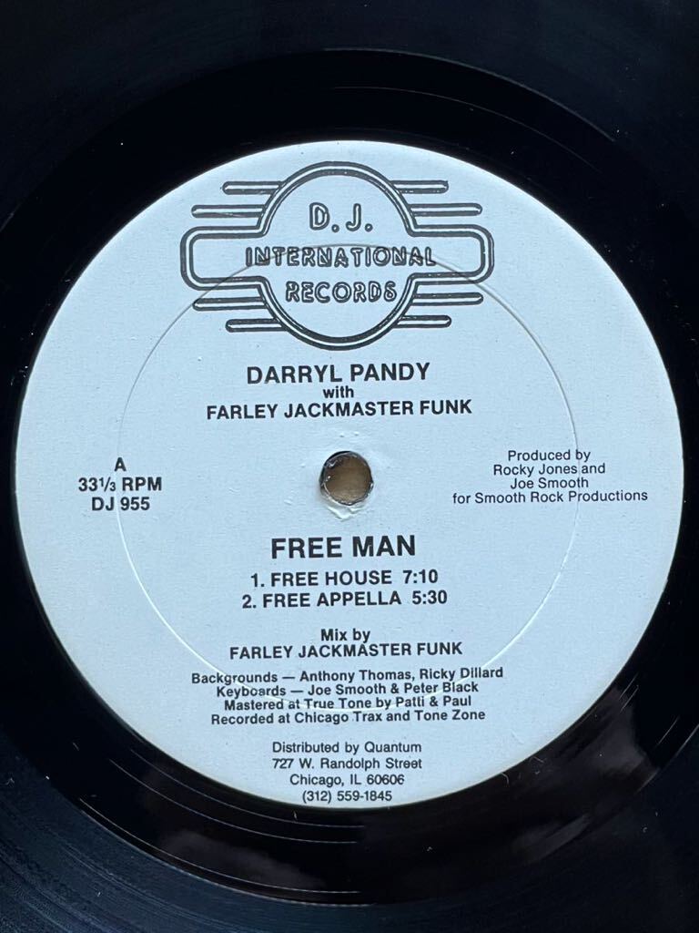 【 Joe Smooth, Rocky Jonesプロデュース！！】Darryl Pandy - Free Man ,D.J. International Records - DJ 955 ,12 ,33 1/3 RPM, US 1987_画像1