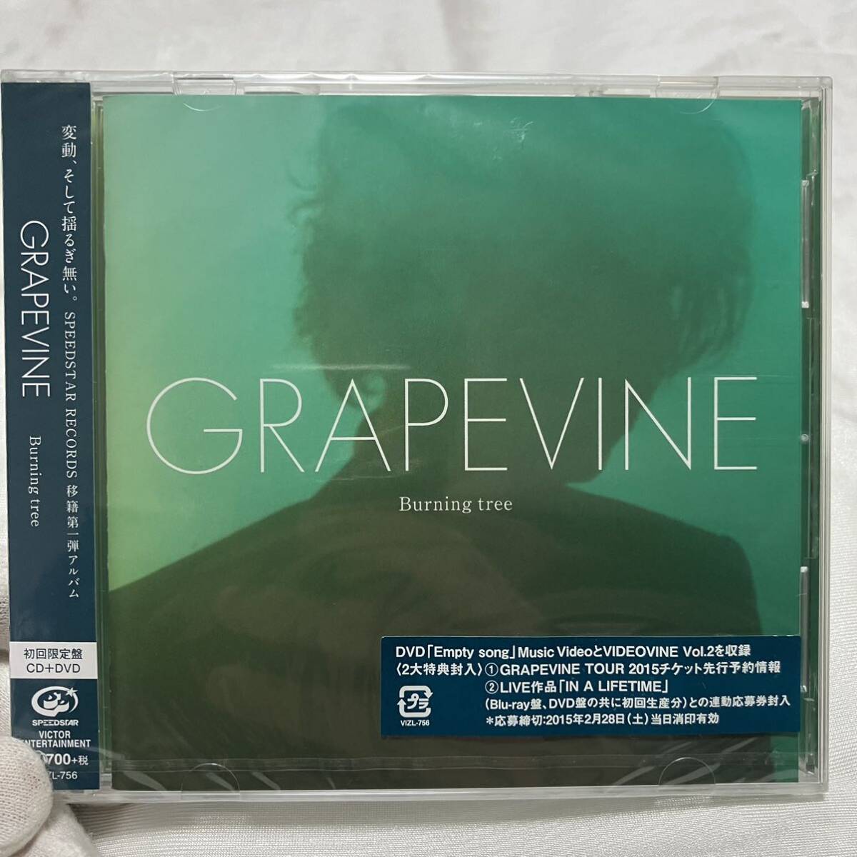 希少品 未開封品新品CD GRAPEVINE Burning tree (初回限定盤) グレイプバイン 4988002683611 バーニングツリー_画像1