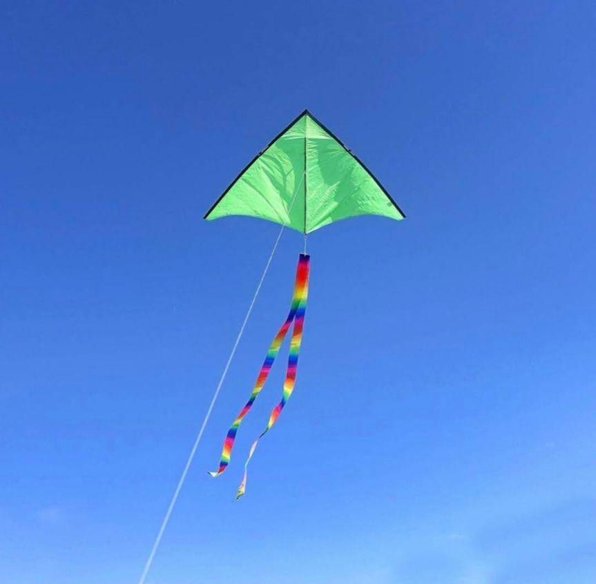emma kites 1.5M 三角凧 7色オプション 100M凧糸とハンドル付きたこ　グリーン　緑
