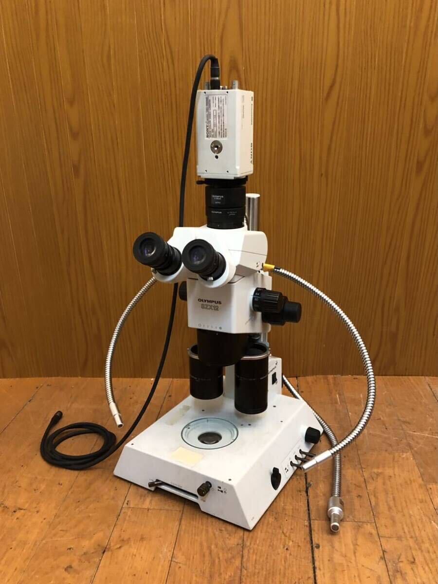 * real body microscope *3CCD color video camera attaching *OLYMPUS*SZX12/DF PLFL 0.3x/1.6X PF/DXC-990MD/SZX-TR30/SZX-ILLB2-100/WHS10X-H*SR(N946)