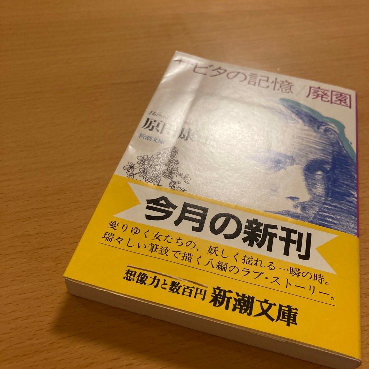 【絶版】 サビタの記憶・廃園 原田康子 新潮文庫 【匿名配送】