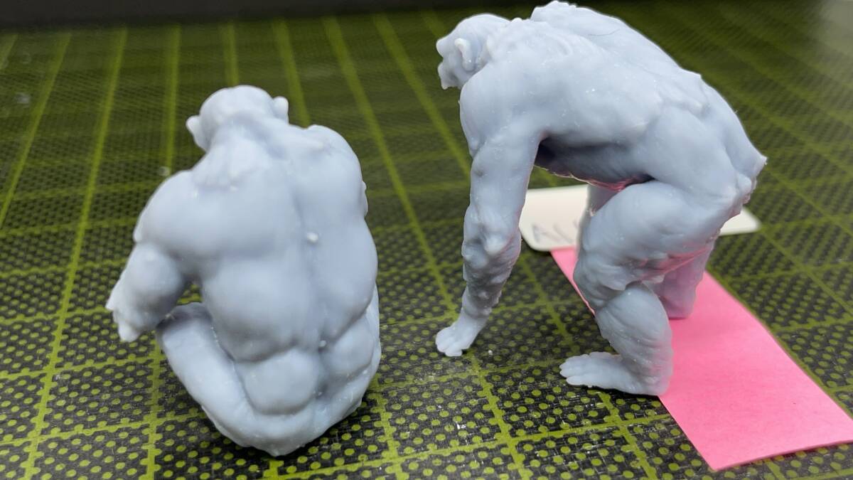 A163 1/35 scale Large size? chin pansy 2 head one . immediately departure set 3D print UV resin test print goods 