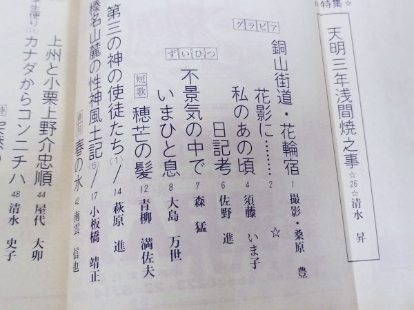 378-A5/月刊郷土文化誌 鼎 昭和50.4月号/特集 天明三年浅間焼之事/浅間山噴火 群馬県_画像2