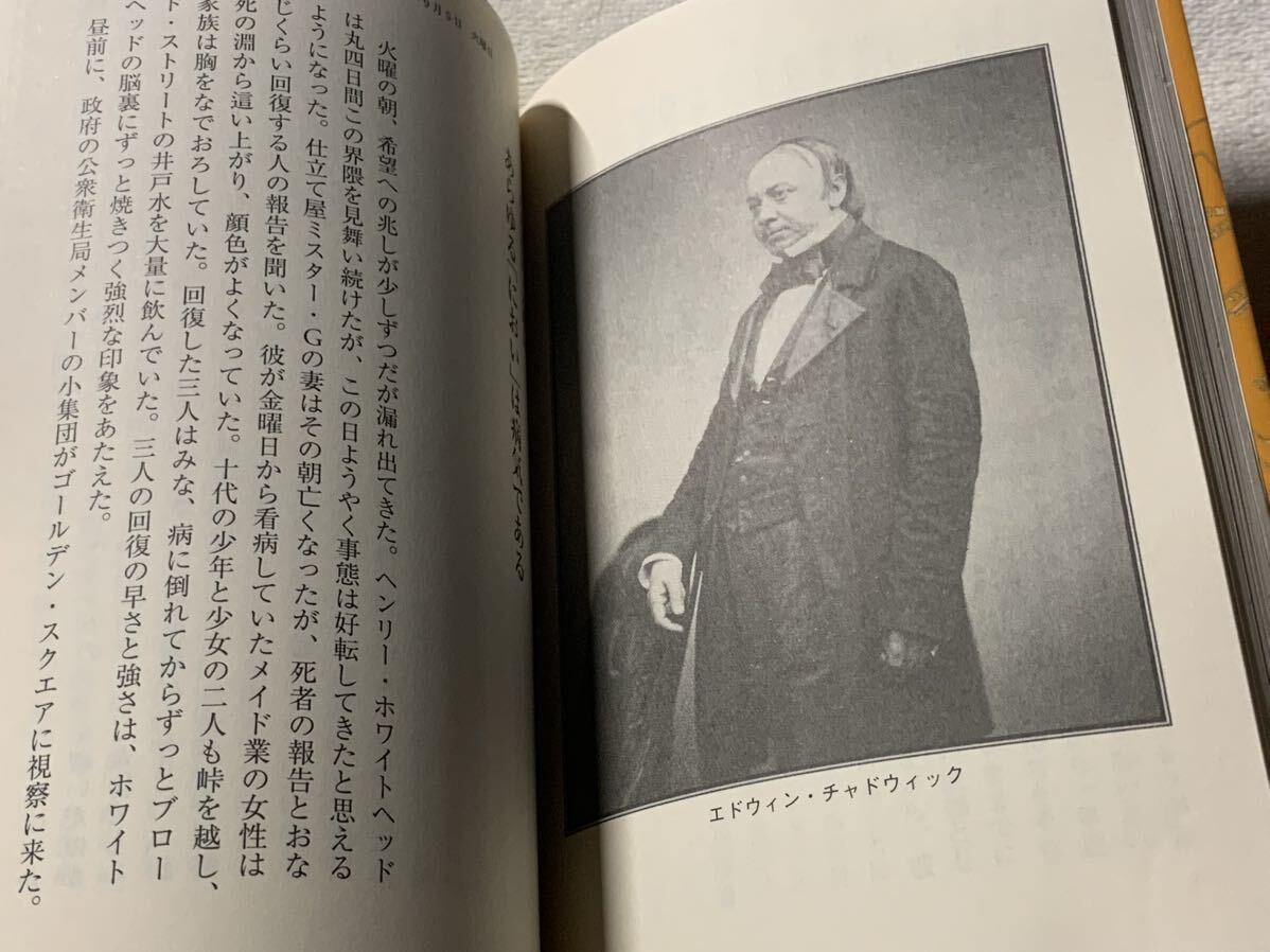 感染地図　河出文庫/ 感染症の世界史 角川ソフィア文庫　2冊セット_画像7