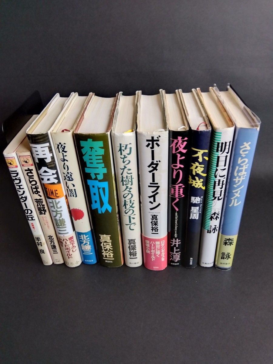 再会 北方謙三／著　他10冊　単行本９冊と新書版サイズ２冊　計11冊　ハードボイルド小説をまとめて出品　