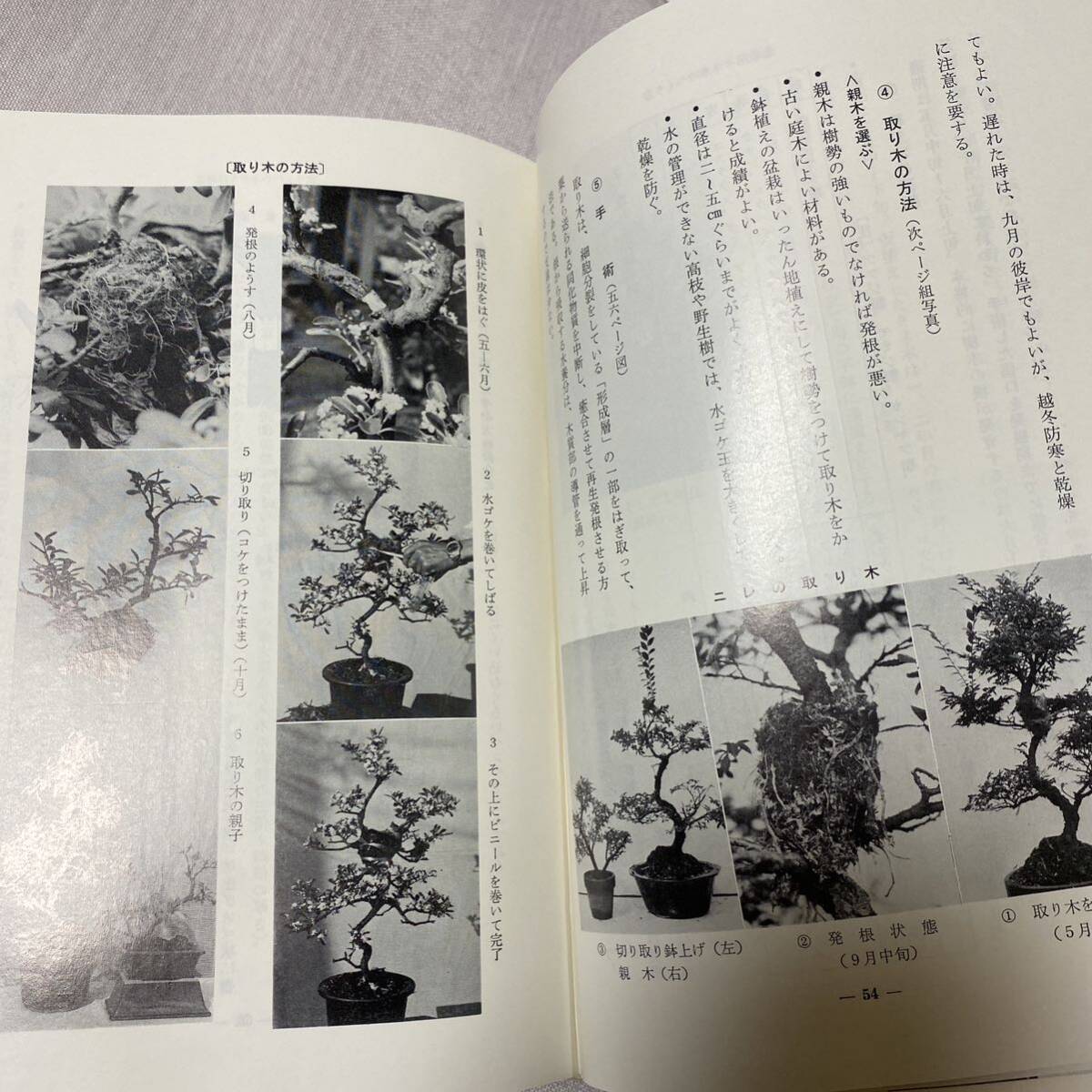 改訂増補　盆栽のすべて　昭和50年　貴重本　勉強　コレクション_画像9