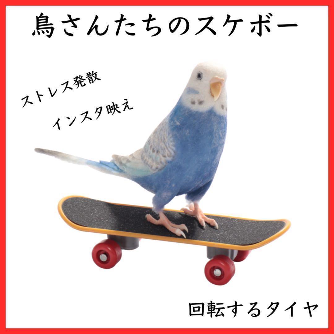 ミニ スケボー 鳥 インコ 玩具 指スケ トイ バード 小鳥の画像1