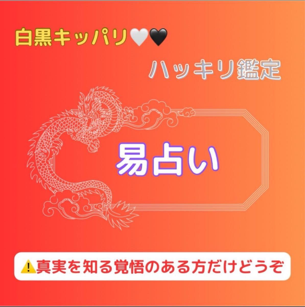 .*占い.*白黒ハッキリ！易占い イーチン プロ占い師 占い鑑定 鑑定書なし