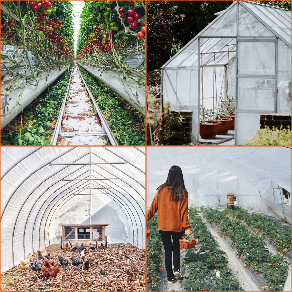 #8398W[ new goods *4.8*7.6m] plastic greenhouse vinyl seat transparent 0.15mm greenhouse change cover plant cultivation gardening for .. plastic greenhouse flower . greenhouse agriculture 