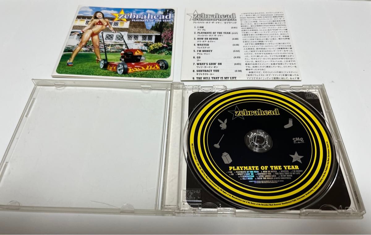 zebrahead / PLAYMATE OF THE YEAR、MFZB CD ゼブラヘッド 2枚セット