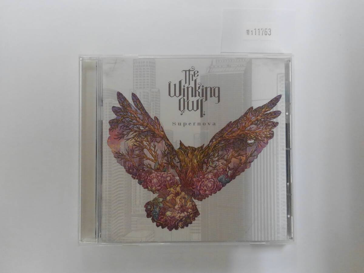 万1 11763 Supernova - The Winking Owlの画像1