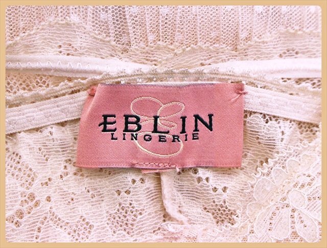 CA5-743＃//新品同様♪EBLIN/エブリン♪気品溢れる透け感レース♪スリップ【インボイス対応店】※一番安価で送料はゆうパケット210円_画像4