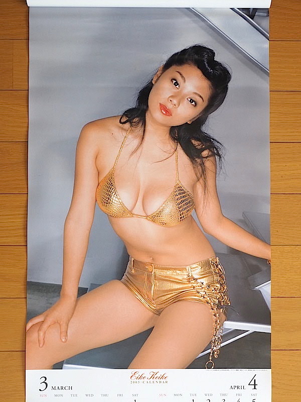 2003 год Koike Eiko B3 порез календарь не использовался хранение товар 