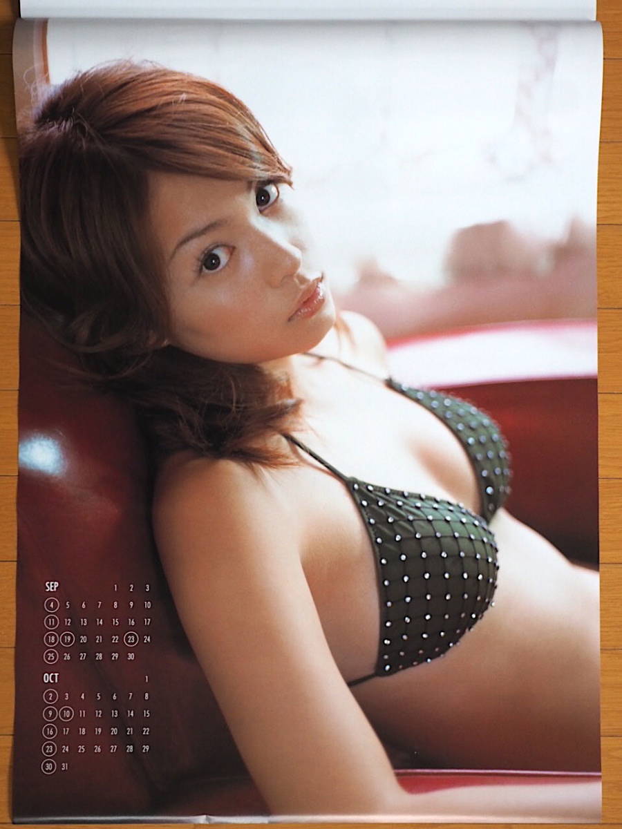 2005 year Iwasa Mayuko calendar unused storage goods 